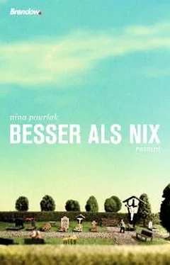 Nina Pourlak Besser als nix обложка книги