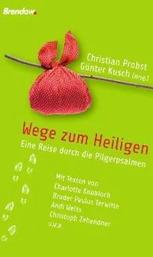 Christian Probst Wege zum Heiligen обложка книги
