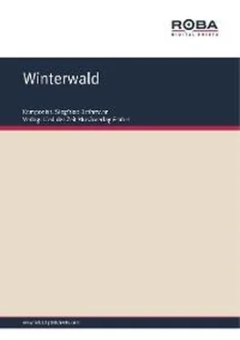 Siegfried Bethmann Winterwald обложка книги