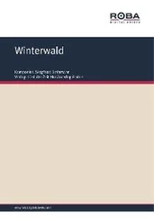 Siegfried Bethmann - Winterwald