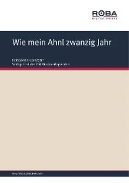 Moritz West Wie mein Ahnl zwanzig Jahr обложка книги