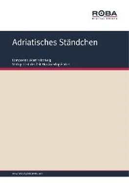 Martin Hattwig Adriatisches Ständchen обложка книги