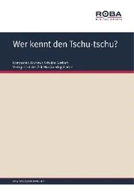 Martin Möhle Wer kennt den Tschu-tschu? обложка книги