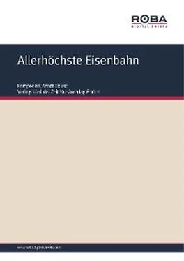 Dieter Schneider Allerhöchste Eisenbahn обложка книги