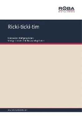 Wolfgang Kähne Ricki-ticki-tim обложка книги