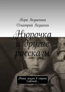 Дмитрий Якушкин Нюрочка и другие рассказы. Наша жизнь в стране Советов… обложка книги