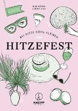 Ilse König Hitzefest обложка книги