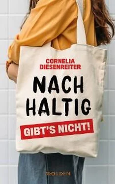 Cornelia Diesenreiter Nachhaltig gibt's nicht! обложка книги