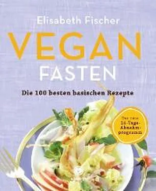 Elisabeth Fischer Vegan Fasten – Die 100 besten basischen Rezepte обложка книги