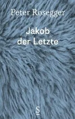 Peter Rosegger - Jakob der Letzte