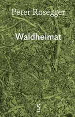 Peter Rosegger - Waldheimat