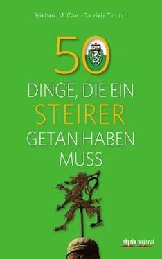 Reinhard M. Czar 50 Dinge, die ein Steirer getan haben muss обложка книги