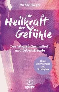Michael Weger Die Heilkraft der Gefühle обложка книги