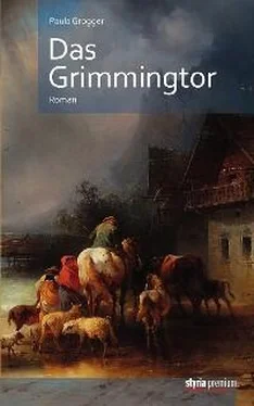 Paula Grogger Das Grimmingtor обложка книги