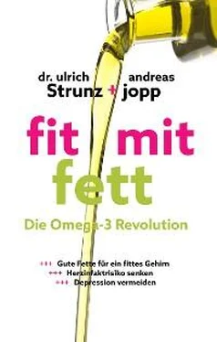 Andreas Jopp Fit mit Fett: Die Omega-3-Revolution обложка книги
