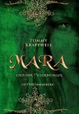 Tommy Krappweis Mara und der Feuerbringer обложка книги