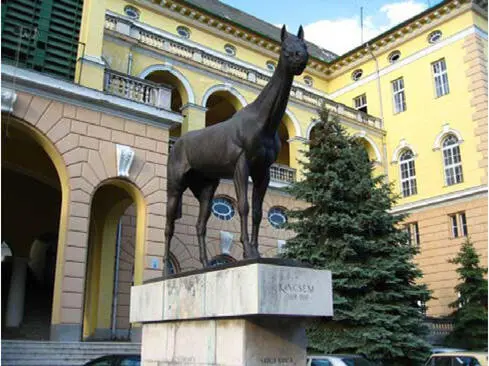 Die lebensgroße Statue der in 54 Rennen ungeschlagenen Ungarin Kincsem - фото 24
