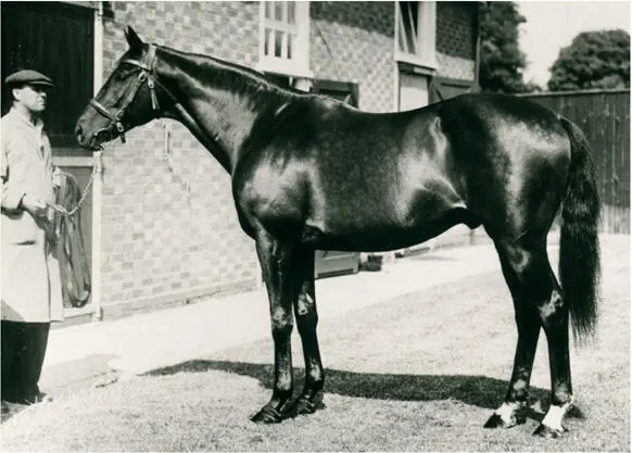 Tesios ungeschlagener Nearco den er 1935 von Lord Derbys Beschäler Pharos zog - фото 14