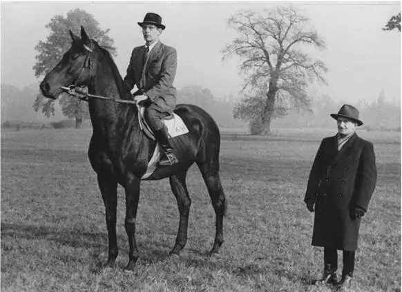 Der Alchimistsohn Birkhahn mit seinem Besitzer KarlHeinz Wieland und Trainer - фото 13