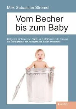 Max Sebastian Stremel Vom Becher bis zum Baby обложка книги