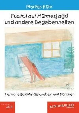 Marlies Kühr Fuchsi auf Hühnerjagd und andere Begebenheiten обложка книги