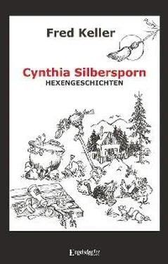 Fred Keller Cynthia Silbersporn обложка книги