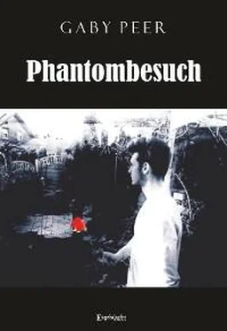 Gaby Peer Phantombesuch обложка книги