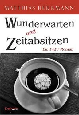 Matthias Herrmann Wunderwarten und Zeitabsitzen обложка книги