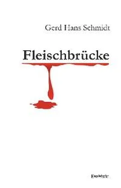 Gerd Hans Schmidt Fleischbrücke обложка книги