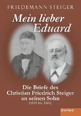 Friedemann Steiger Mein lieber Eduard обложка книги