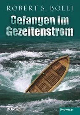 Robert S. Bolli Gefangen im Gezeitenstrom обложка книги