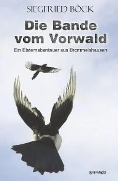Siegfried Böck Die Bande vom Vorwald обложка книги
