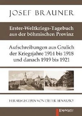 Josef Brauner Erster-Weltkriegs-Tagebuch aus der böhmischen Provinz обложка книги