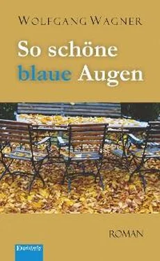 Wolfgang Wagner So schöne blaue Augen обложка книги