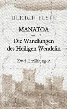 Ulrich Elste MANATOA und Die Wandlungen des Heiligen Wendelin обложка книги
