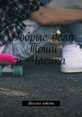 Виктор Песиголовец - Добрые дела Тоши и Часика. Веселая повесть