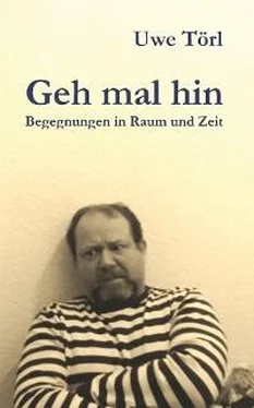 Uwe Törl Geh mal hin обложка книги
