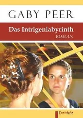 Gaby Peer - Das Intrigenlabyrinth