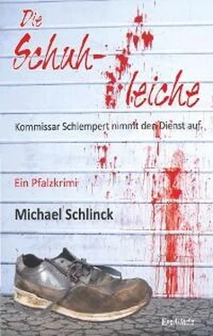 Michael Schlinck Die Schuhleiche обложка книги