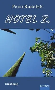 Peter Rudolph Hotel Z обложка книги