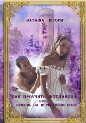 Наташа Шторм - Как проучить шотландца, или Любовь на вересковом поле