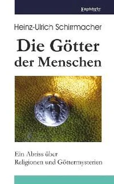 Heinz-Ullrich Schirrmacher Die Götter der Menschen обложка книги