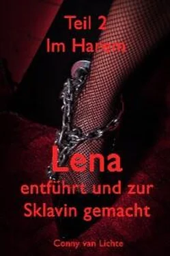 Conny van Lichte Lena - entführt und zur Sklavin gemacht - Teil 2 обложка книги