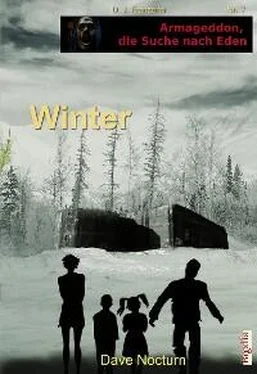 Dave Nocturn Winter обложка книги