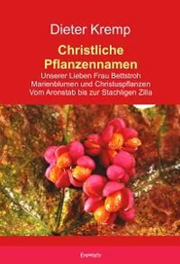 Dieter Kremp Christliche Pflanzennamen обложка книги