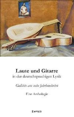 Raymond Dittrich Laute und Gitarre in der deutschsprachigen Lyrik обложка книги