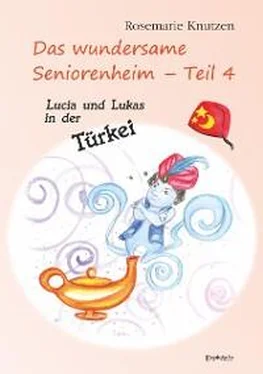 Rosemarie Knutzen Das wundersame Seniorenheim - Teil 4: Lucia und Lukas in der Türkei обложка книги