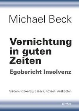 Michael Beck Vernichtung in guten Zeiten обложка книги