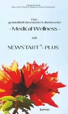 Marwin H. Heide Eine gesundheitsbewusste Lebensweise - Medical Wellness - mit NEWSTART – PLUS обложка книги