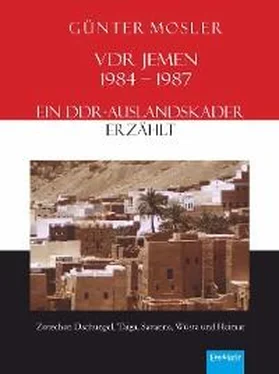Günter Mosler VDR Jemen 1984-1987 – ein DDR-Auslandskader erzählt обложка книги